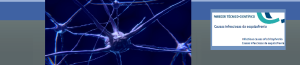 Causas infecciosas da esquizofrenia